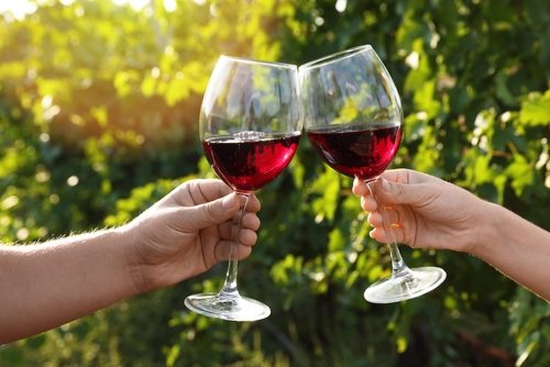 Coppia che brinda con bicchieri di vino all’aperto, primo piano.