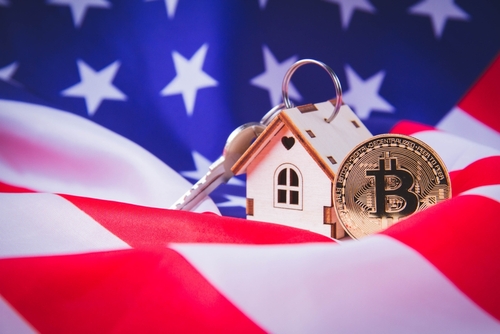 Flag of the United States with a house and the dollar.